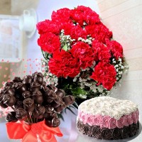 Red Carnations Chocolate Cake Gift Combo