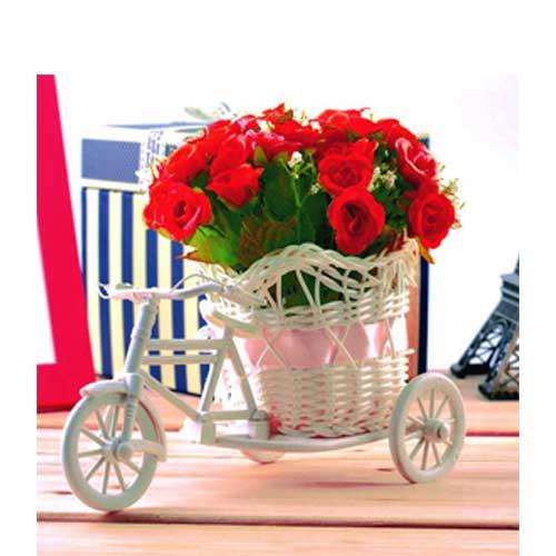 Red Roses Bicycle