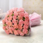  Pink Carnations Bouquet
