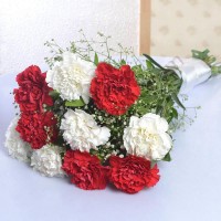 White And Red Carnations Bunch