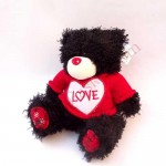 Black Teddy Bear