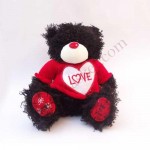 Black Teddy Bear