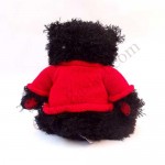 Black Teddy Bear