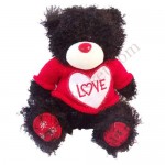 Black Teddy Bear